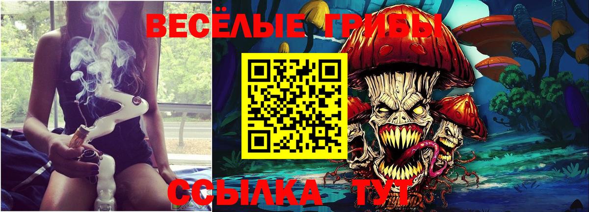 Ефремов  Галлюциногенные грибы GOLDEN TEACHER  Вход с VPN 
